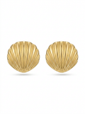 Shell Stud Earrings